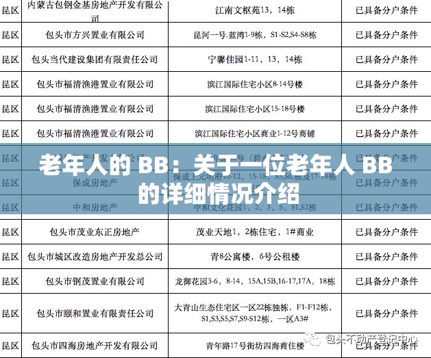 老年人的 BB：关于一位老年人 BB 的详细情况介绍