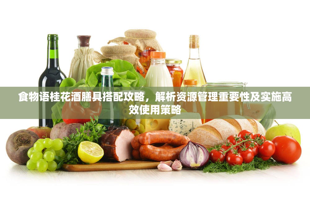 食物语桂花酒膳具搭配攻略，解析资源管理重要性及实施高效使用策略