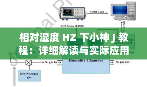 相对湿度 HZ 下小神 J 教程：详细解读与实际应用举例