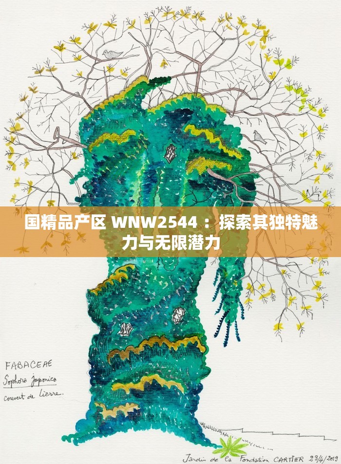 国精品产区 WNW2544 ：探索其独特魅力与无限潜力