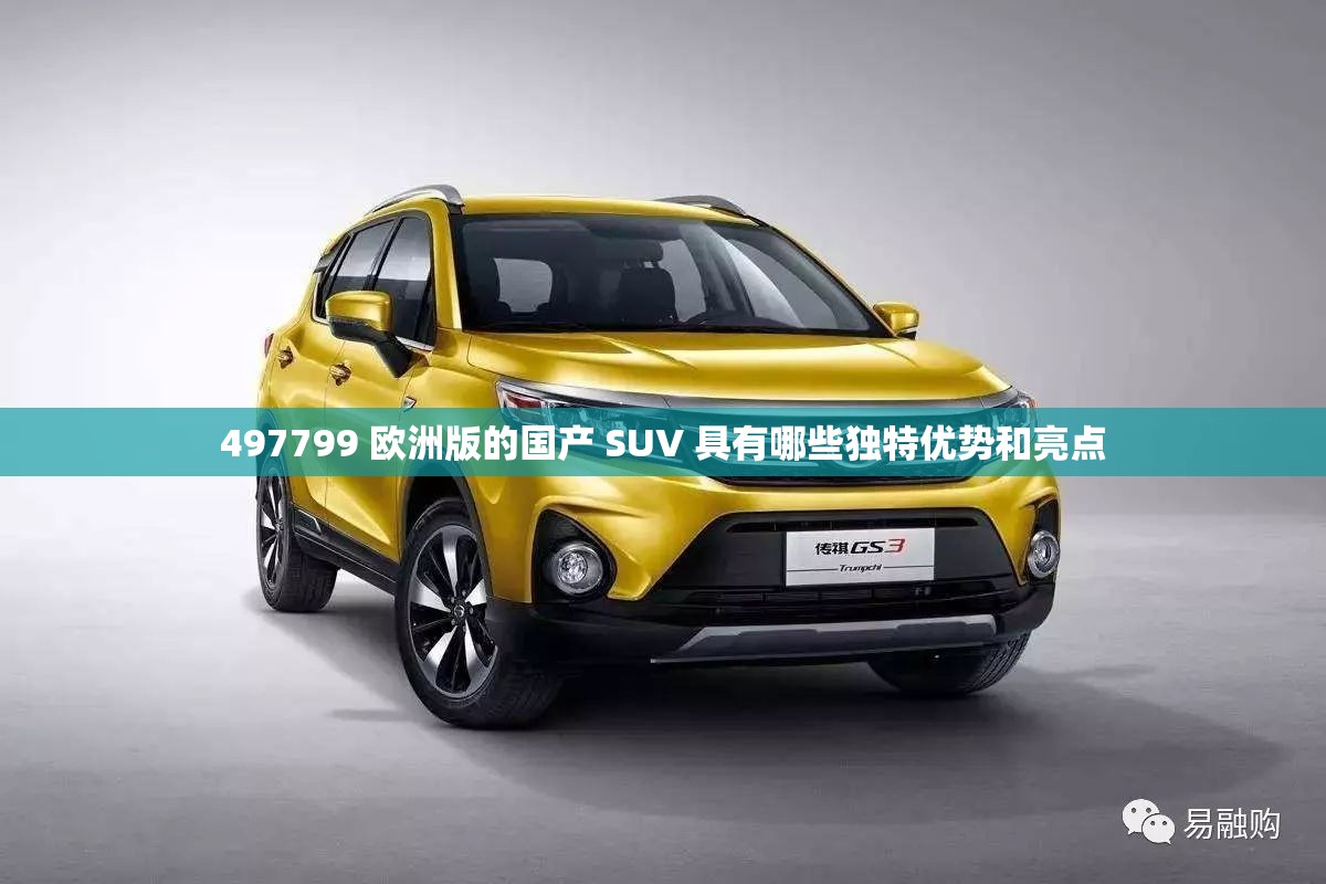 497799 欧洲版的国产 SUV 具有哪些独特优势和亮点