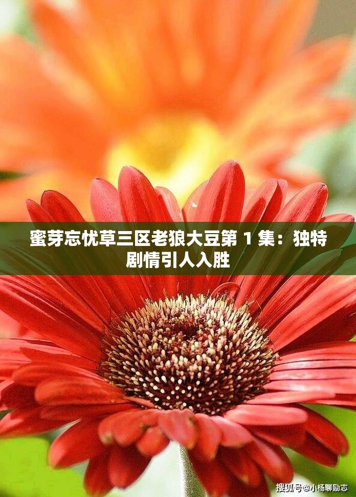 蜜芽忘忧草三区老狼大豆第 1 集：独特剧情引人入胜