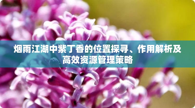 烟雨江湖中紫丁香的位置探寻、作用解析及高效资源管理策略