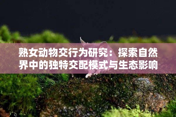 熟女动物交行为研究：探索自然界中的独特交配模式与生态影响