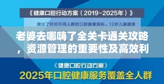 老婆去哪嗨了全关卡通关攻略，资源管理的重要性及高效利用策略指南