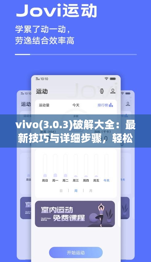 vivo(3.0.3)破解大全：最新技巧与详细步骤，轻松解锁手机隐藏功能