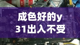 成色好的y31出入不受限了，体验全新自由操作与高效性能的完美结合