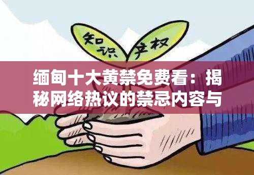 缅甸十大黄禁免费看：揭秘网络热议的禁忌内容与合法观看途径