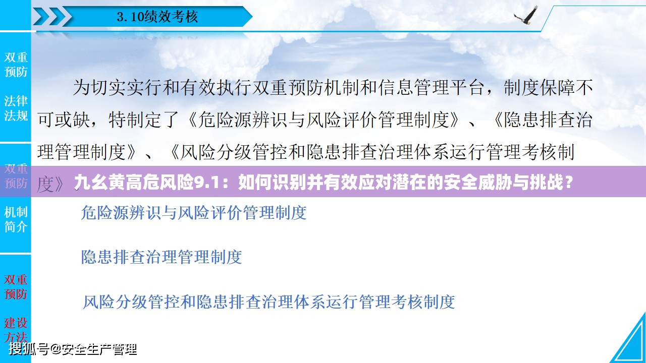 九幺黄高危风险9.1：如何识别并有效应对潜在的安全威胁与挑战？