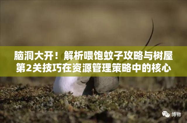 脑洞大开！解析喂饱蚊子攻略与树屋第2关技巧在资源管理策略中的核心作用