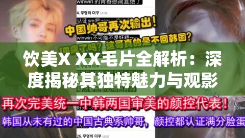 饮美X XX毛片全解析：深度揭秘其独特魅力与观影体验，网友热议不断