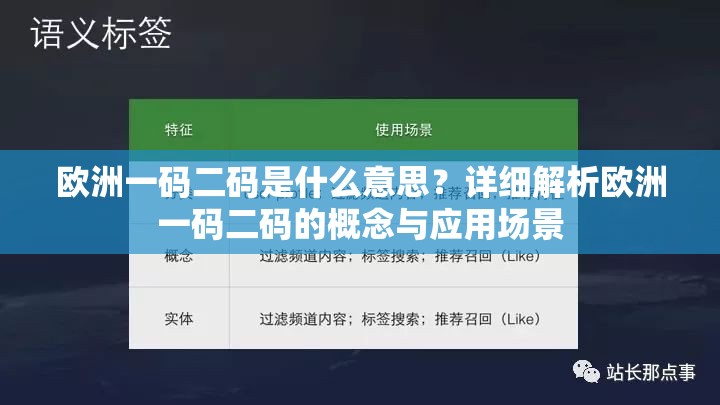 欧洲一码二码是什么意思？详细解析欧洲一码二码的概念与应用场景