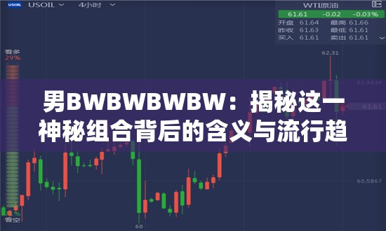 男BWBWBWBW：揭秘这一神秘组合背后的含义与流行趋势解析