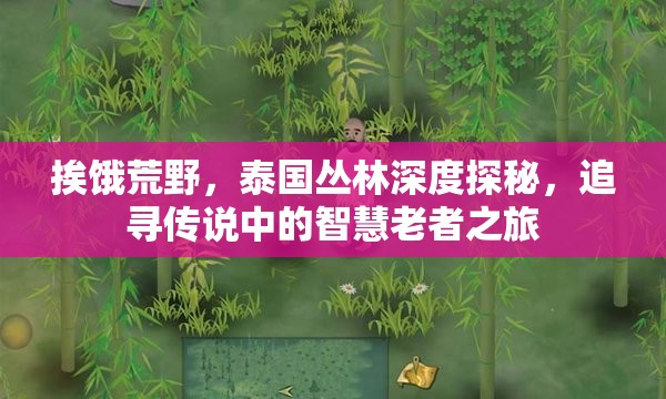 挨饿荒野，泰国丛林深度探秘，追寻传说中的智慧老者之旅