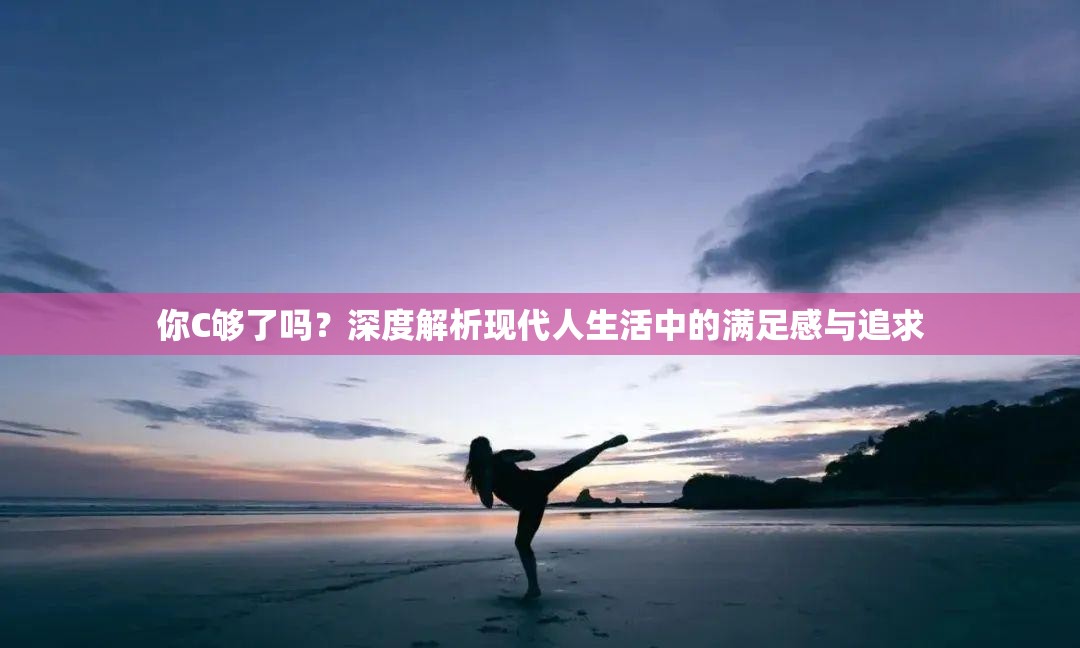 你C够了吗？深度解析现代人生活中的满足感与追求