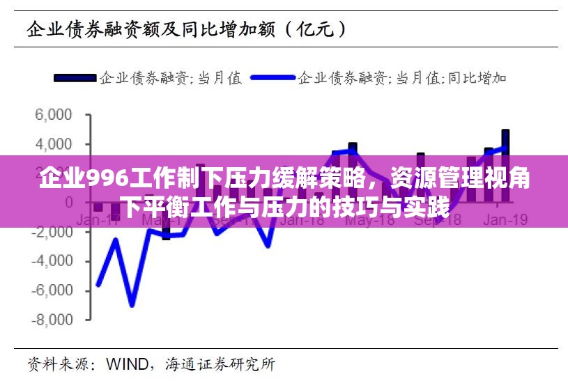 企业996工作制下压力缓解策略，资源管理视角下平衡工作与压力的技巧与实践