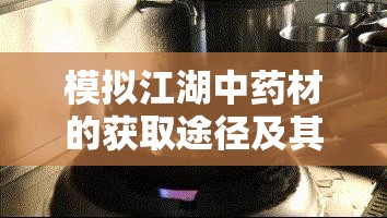 模拟江湖中药材的获取途径及其作用解析，资源管理视角下的关键要素