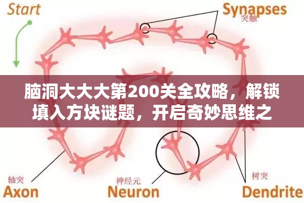 脑洞大大大第200关全攻略，解锁填入方块谜题，开启奇妙思维之旅