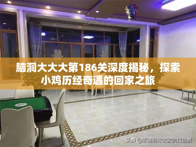 脑洞大大大第186关深度揭秘，探索小鸡历经奇遇的回家之旅