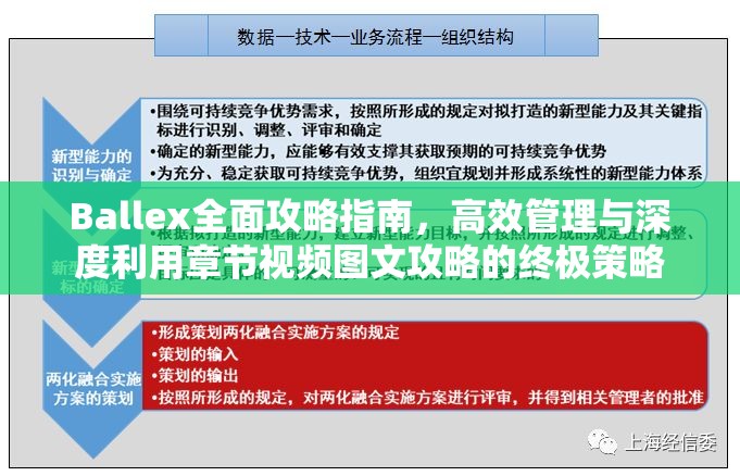 Ballex全面攻略指南，高效管理与深度利用章节视频图文攻略的终极策略