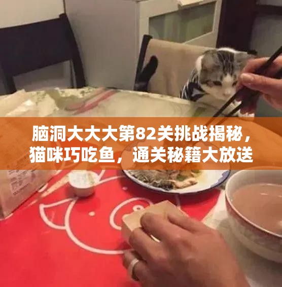 脑洞大大大第82关挑战揭秘，猫咪巧吃鱼，通关秘籍大放送！