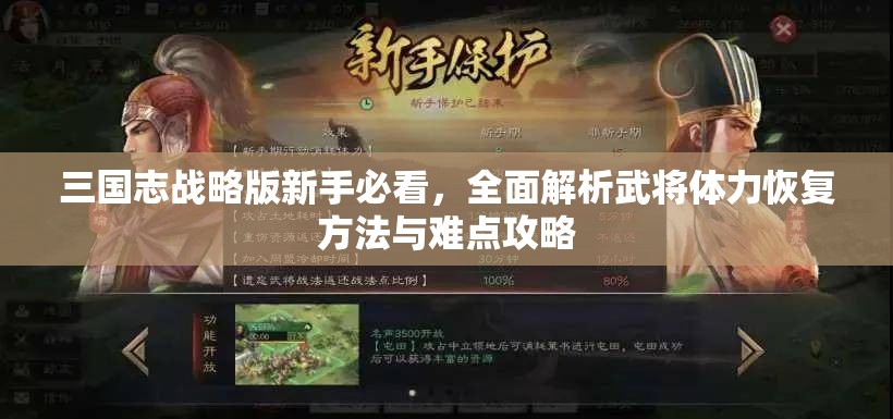 三国志战略版新手必看，全面解析武将体力恢复方法与难点攻略