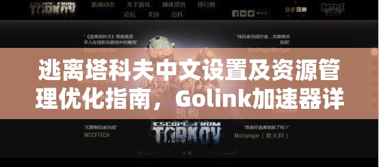 逃离塔科夫中文设置及资源管理优化指南，Golink加速器详细教程