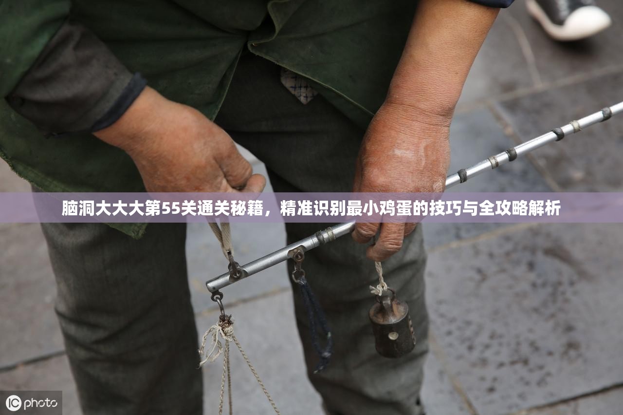 脑洞大大大第55关通关秘籍，精准识别最小鸡蛋的技巧与全攻略解析