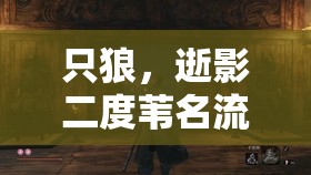 只狼，逝影二度苇名流高手佐濑甚助究竟藏身何处？打法攻略揭秘！