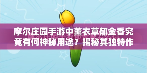 摩尔庄园手游中薰衣草郁金香究竟有何神秘用途？揭秘其独特作用！