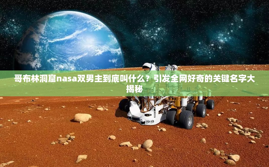 哥布林洞窟nasa双男主到底叫什么？引发全网好奇的关键名字大揭秘