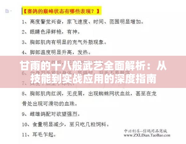 甘雨的十八般武艺全面解析：从技能到实战应用的深度指南