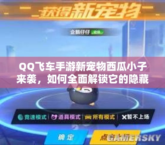 QQ飞车手游新宠物西瓜小子来袭，如何全面解锁它的隐藏技能？