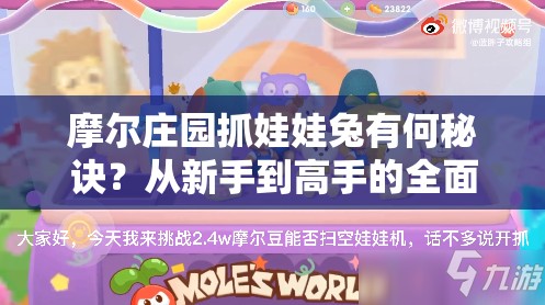 摩尔庄园抓娃娃兔有何秘诀？从新手到高手的全面攻略大揭秘！