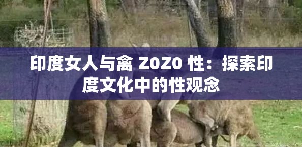 印度女人与禽 Z0Z0 性：探索印度文化中的性观念