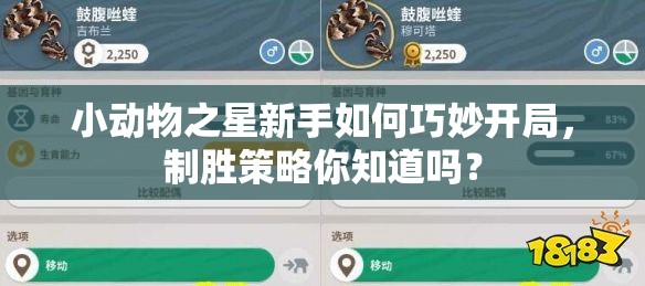 小动物之星新手如何巧妙开局，制胜策略你知道吗？