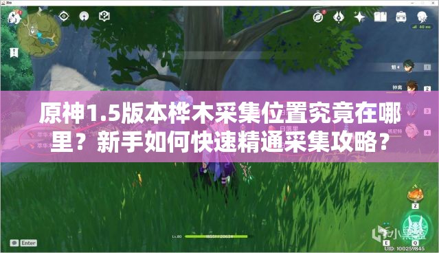 原神1.5版本桦木采集位置究竟在哪里？新手如何快速精通采集攻略？