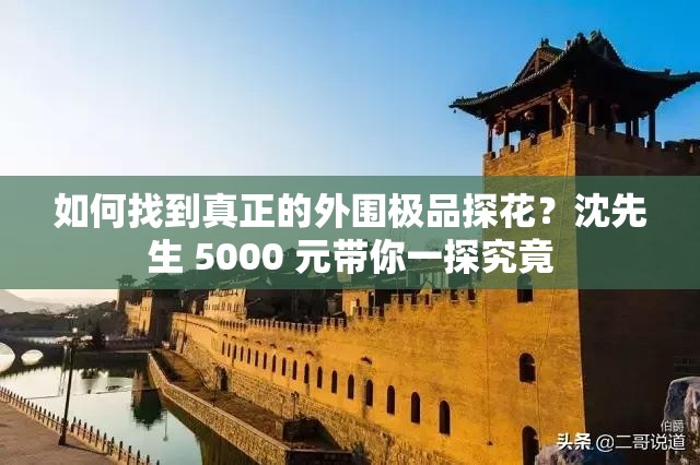 如何找到真正的外围极品探花？沈先生 5000 元带你一探究竟