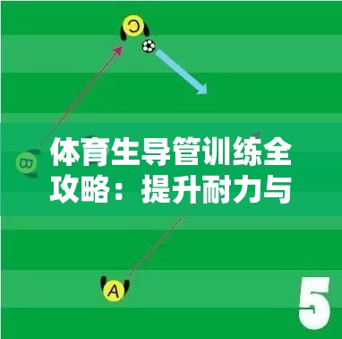 体育生导管训练全攻略：提升耐力与爆发力的科学方法与实战技巧分享