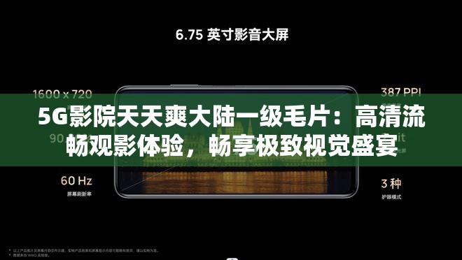 5G影院天天爽大陆一级毛片：高清流畅观影体验，畅享极致视觉盛宴