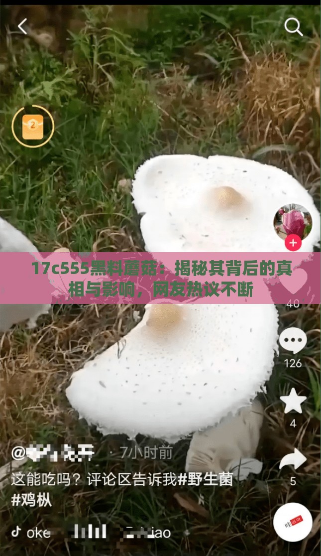 17c555黑料蘑菇：揭秘其背后的真相与影响，网友热议不断