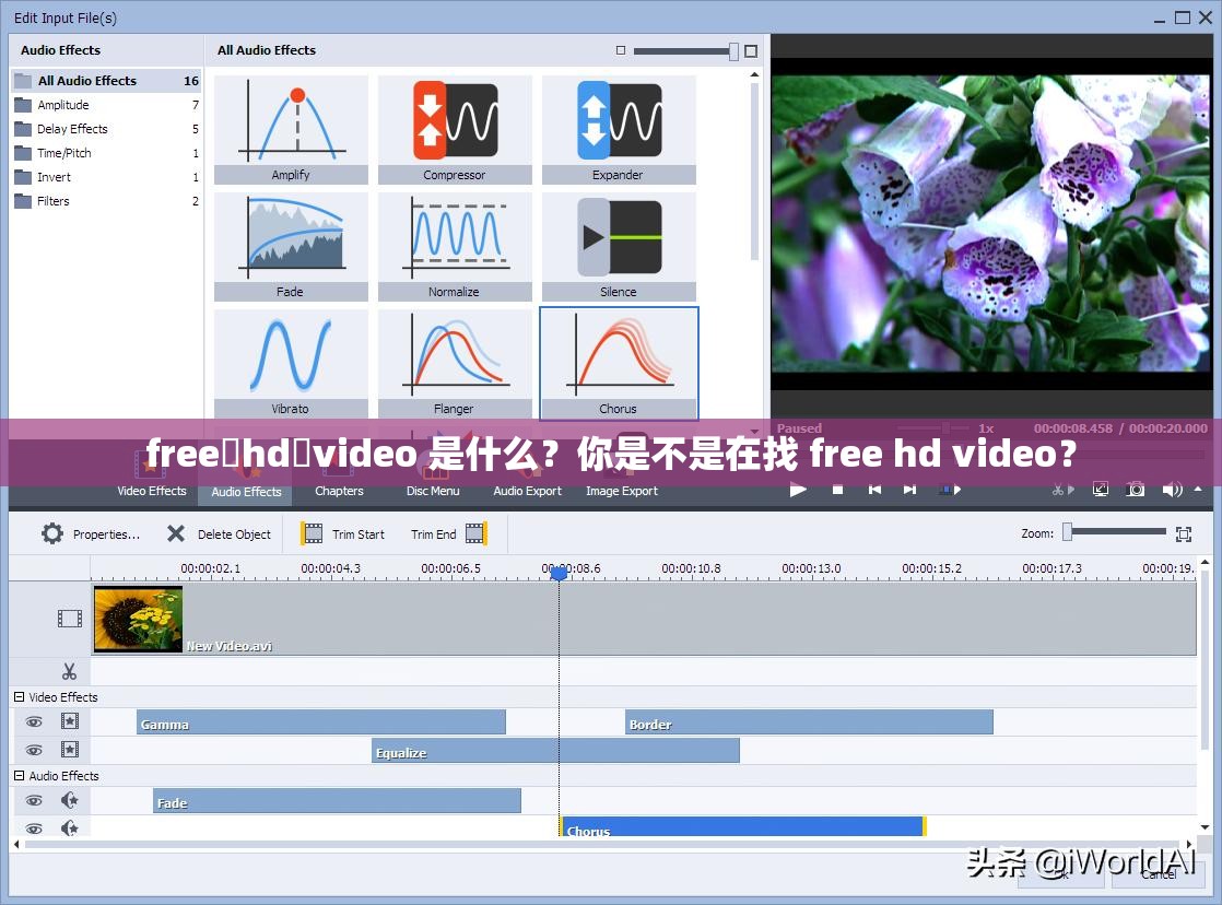 free❤hd❤video 是什么？你是不是在找 free hd video？