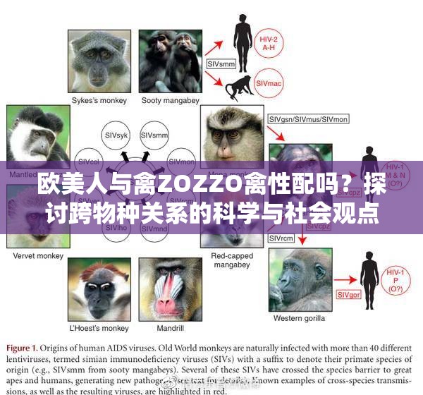 欧美人与禽ZOZZO禽性配吗？探讨跨物种关系的科学与社会观点