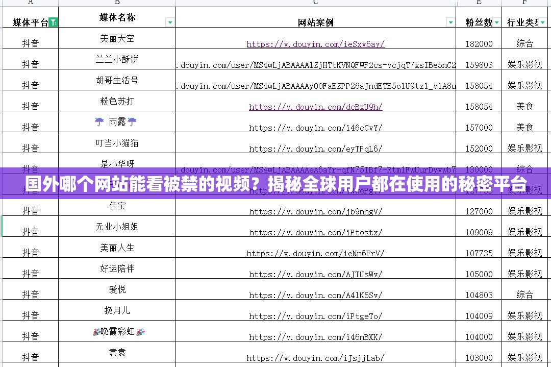 国外哪个网站能看被禁的视频？揭秘全球用户都在使用的秘密平台