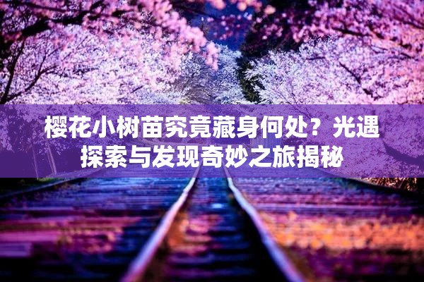 樱花小树苗究竟藏身何处？光遇探索与发现奇妙之旅揭秘