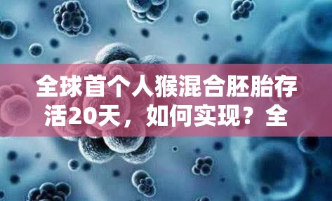 全球首个人猴混合胚胎存活20天，如何实现？全面攻略揭秘！