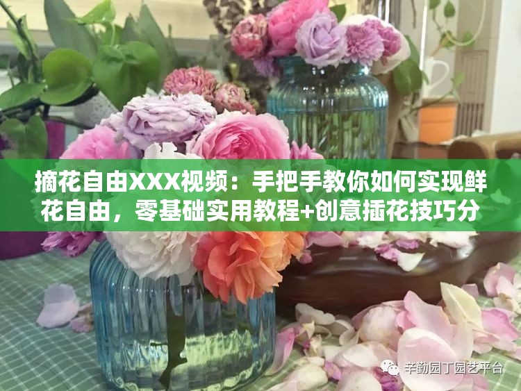 摘花自由XXX视频：手把手教你如何实现鲜花自由，零基础实用教程+创意插花技巧分享 （注：保留完整关键词摘花自由XXX视频，融入如何实现疑问引导词和教程技巧等高搜索量词汇，通过手把手零基础创意等情感化表达增强吸引力，符合百度用户搜索习惯且自然植入相关长尾词）