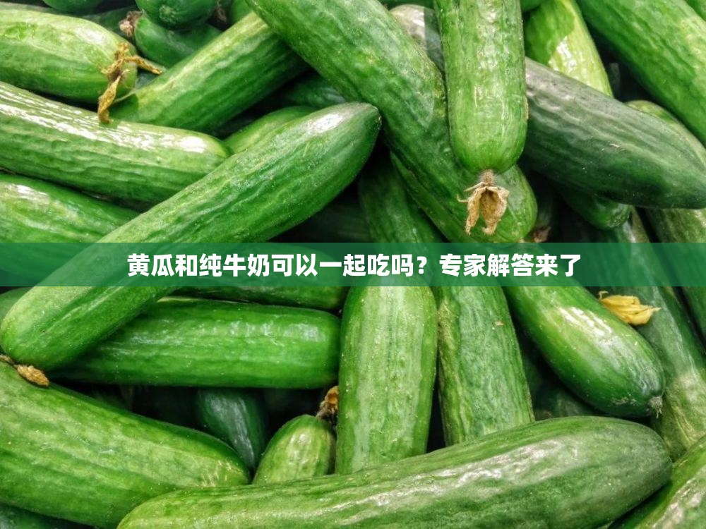 黄瓜和纯牛奶可以一起吃吗？专家解答来了