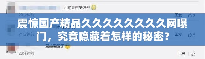 震惊国产精品久久久久久久久久网曝门，究竟隐藏着怎样的秘密？