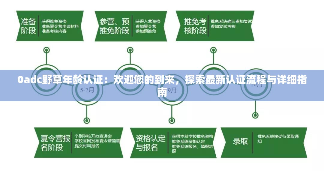 0adc野草年龄认证：欢迎您的到来，探索最新认证流程与详细指南